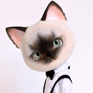 *6월25일 판매* [PI] 한정 샴고양이 Siamese cat 팡캣 PANGcat